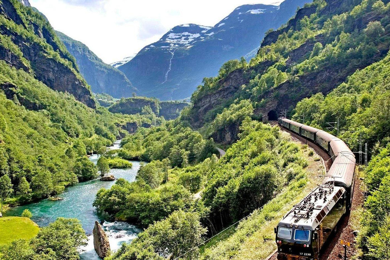 Oslo: 1-Day Tour to Flam with Flam Train & Naerofjord cruise