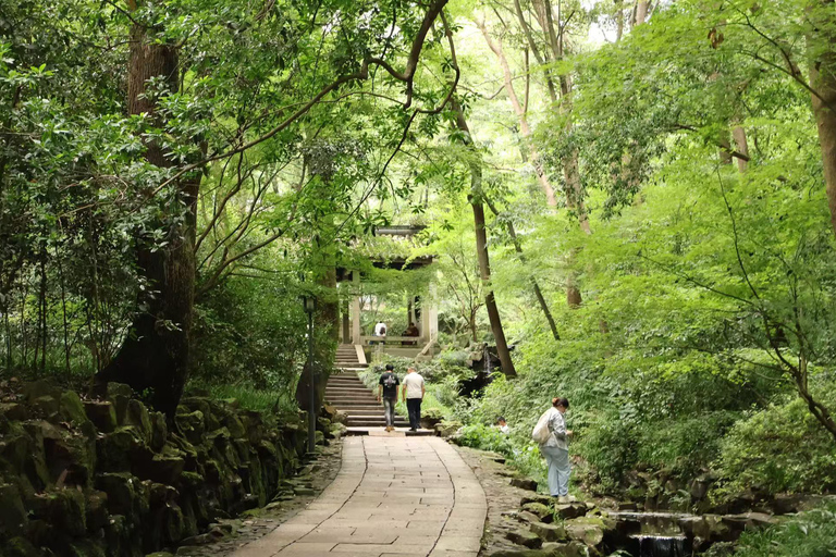 Hangzhou Hupao Park & Mountain Coffee Experience