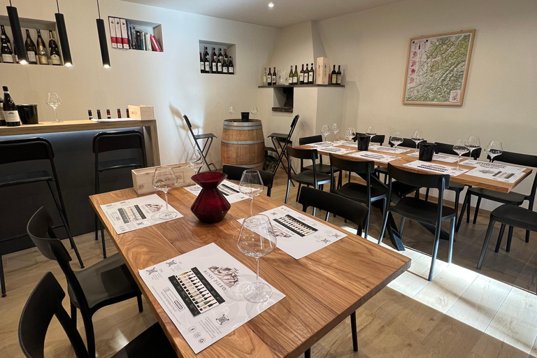 Langhe & Monferrato: Vineyard Tour and Wine Tasting