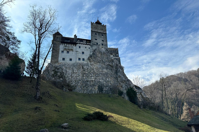 Day Trip from Bucharest:Peleș Castle,Dracula Castle & Brașov