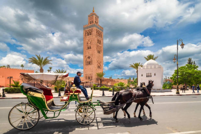 Marraquexe: Passeio de uma hora em carruagem tradicional puxada por cavalos