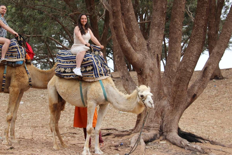 Agadir: Camel Ride by Souss River with Hotel Pickup