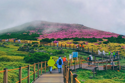 Jeju: Udo Island E-Bike Ride & Insta-Worthy Sea-View Cafe Ultimate Adventure Tour (e-Bike+Speedboat included)