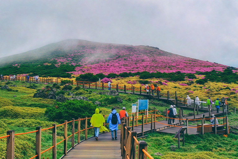 Jeju: Udo Island E-Bike Ride & Insta-Worthy Sea-View Cafe Ultimate Adventure Tour (e-Bike+Speedboat included)