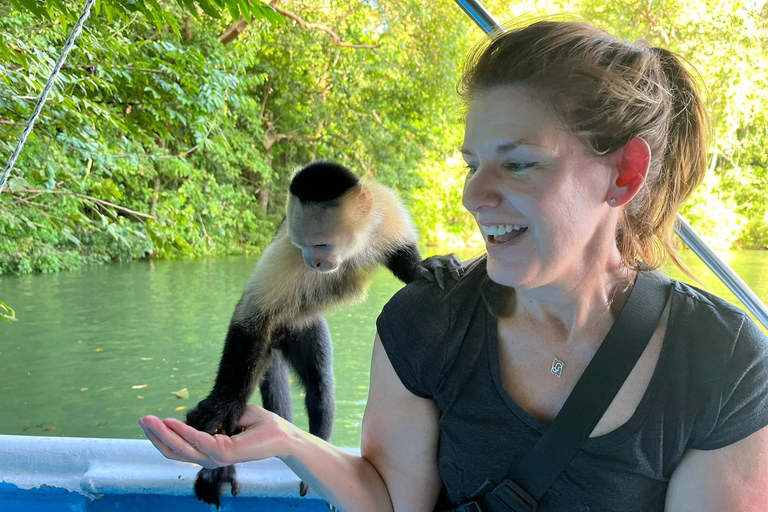 Panamá: Tour en barco y vida salvaje en el lago Gatún