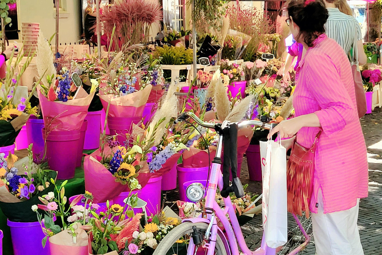 Utrecht: Private Walking Tour with a Local Guide