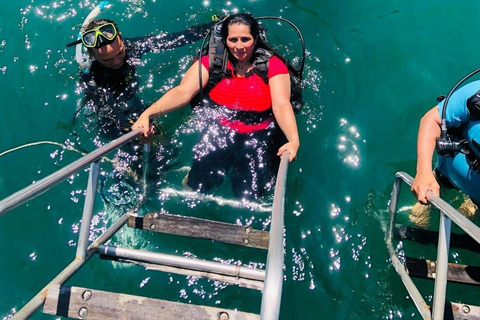 Cham Islands Snorkeling & Scuba Diving Snorkelling 2 Time SharedBoat