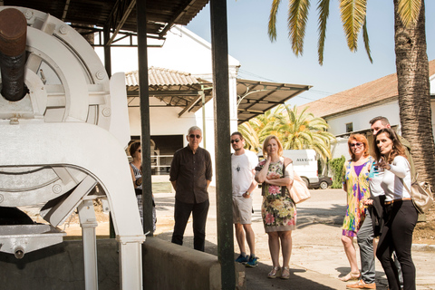 Montilla, Cordoba: Bodegas Alvear Winery Tour & Wine Tasting Bodegas Alvear Winery Tour & 5-Wine Tasting Spanish