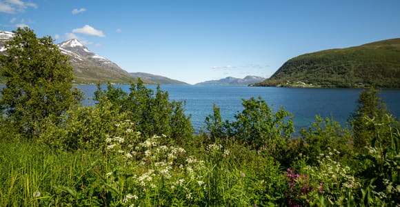 Tromsø: Kvaløya Arctic Fishing Experience with Campfire