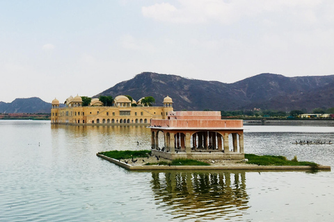 Desde Delhi: Visita guiada de la ciudad de Jaipur con almuerzoDesde Delhi: Excursión con Entradas