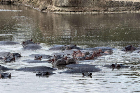 from Zanzibar: 3-Days Mikumi national park Safari with Train