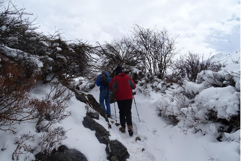 Langtang Valley Trek; 5 days, Guide, Meal, Lodge & Transport