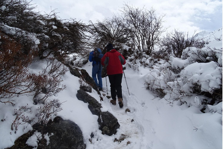 Langtang Valley Trek; 5 days, Guide, Meal, Lodge & Transport