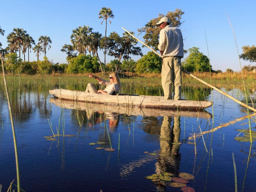 OKAVANGO DELTASI GÜNÜBİRLİK GEZİSİ | GetYourGuide