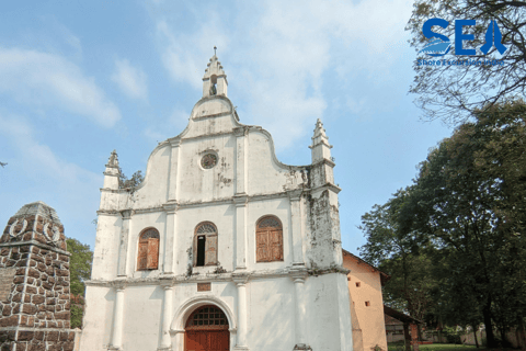 Cochin Private Shore Excursion Expedition with Harbor Cruise