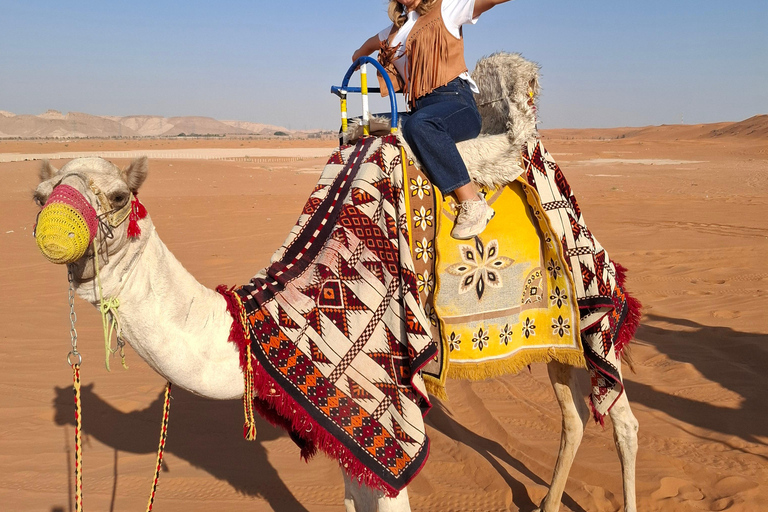 Dune di sabbia del deserto : Riyadh