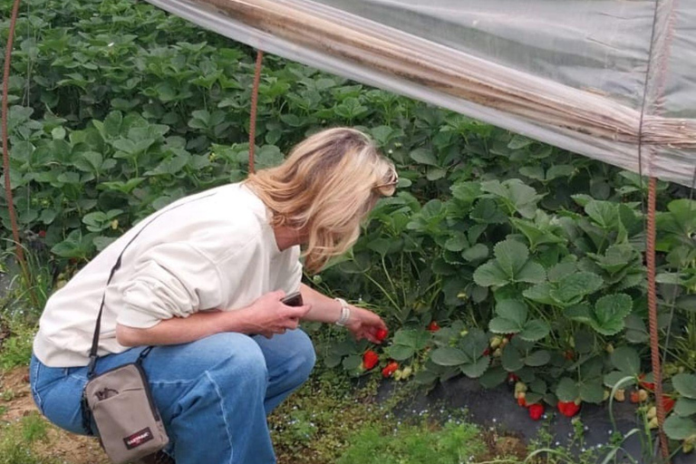 Baku: Southern Azerbaijan Hot Springs and Nature Tour 1-Day Lankaran Hot Springs Tour – Standard (No Meals)