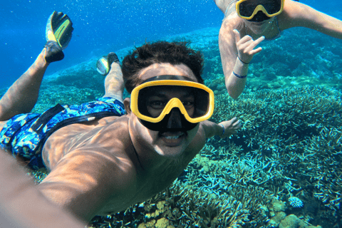 Z Bali: Nusa Penida całodniowa wycieczka i snorkeling