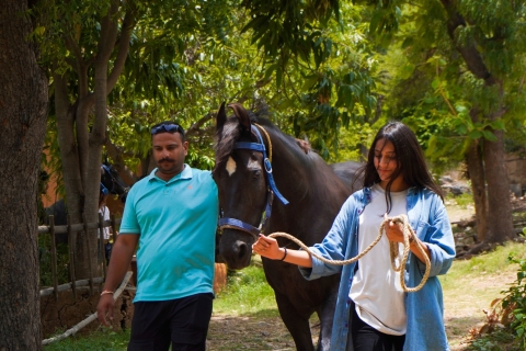 Strode Marwari Equestrian Experience : Haras + équitation