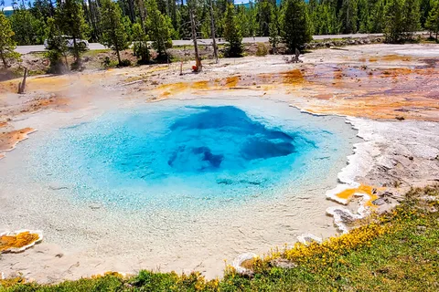 From Bozeman: Yellowstone Day Tour (Lower Loop)