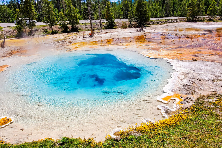 From Bozeman: Classic Yellowstone Tour (2 Days & 1 Night)
