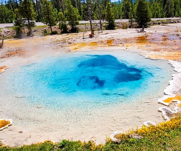 Ab Bozeman: Yellowstone Day Tour (Lower Loop)