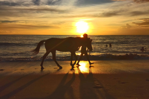 Fuerteventura: Horse Healing & Sunset Views