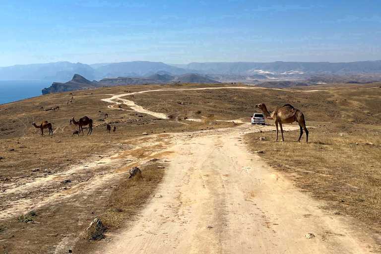 Sterrenlicht aan de kust: een avontuur met een terreinwagen en overnachting op Fazayah BeachSterrenlichtkusten: 4WD-avontuur met overnachting op Fazayah Beach