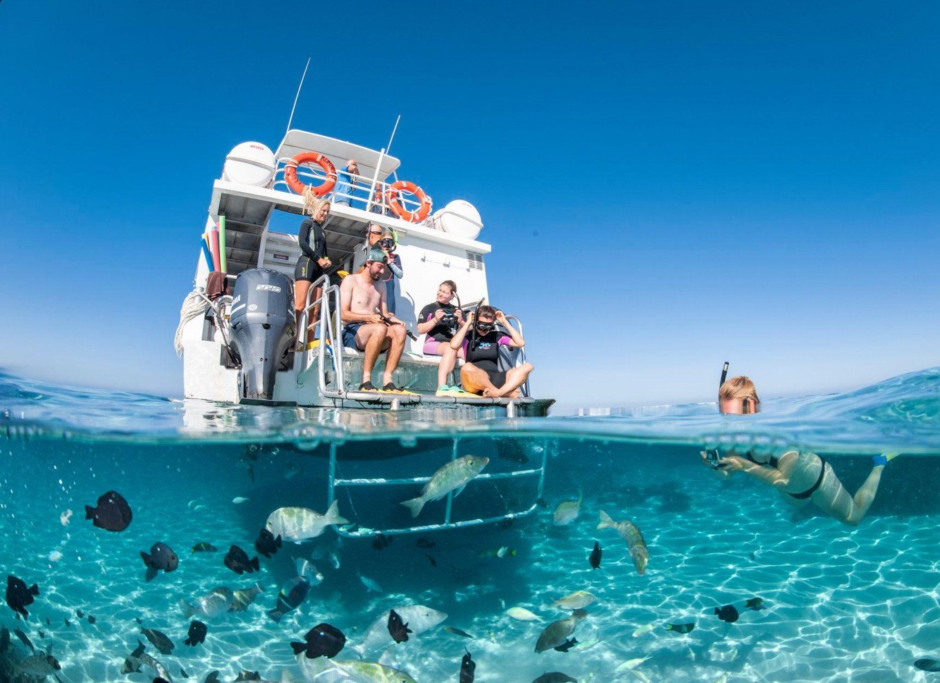 Coral Bay: Marine Eco Safari - Svøm med Manta Rays