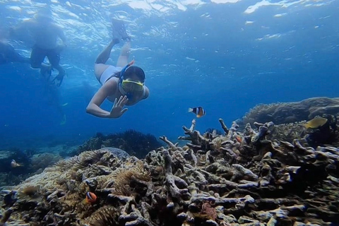 Schnorcheln auf Gili Nanggu, Tangkong, Sudak und Kedis