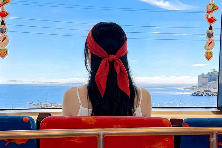 Small Group Day Tour:Omuro Mountain & the Izu Scenic Railway Hotel Transfer Option