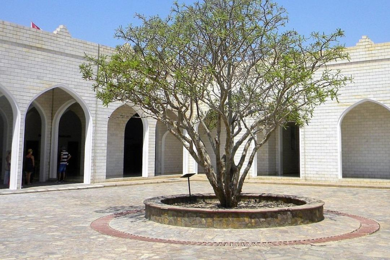 Half Day Tour with Salalah Bread & Transfer Included