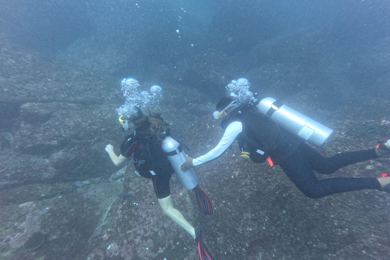 Mirissa: Scuba Diving Experience & Refreshments for Beginner