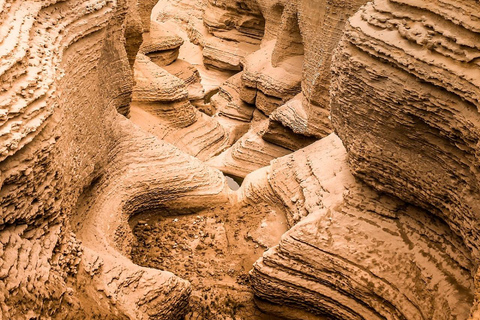 Från Ica - heldagsutflykt till Los Perdidos Canyon