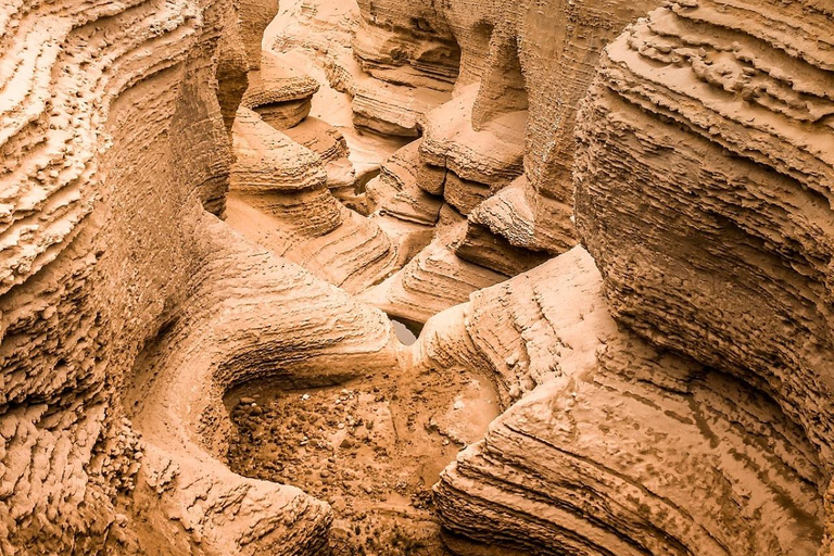 Från Ica - heldagsutflykt till Los Perdidos Canyon