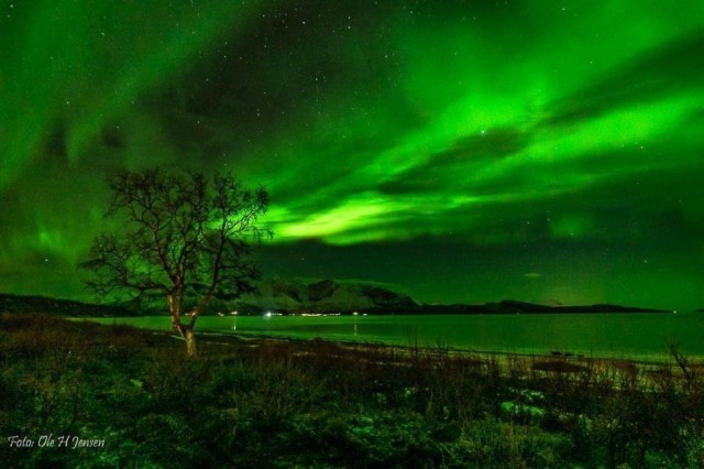 Visit Reisafjord Northern lights hunting in Tromsø