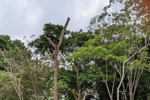 Arusha: Wandeling met gids over het Dulutimeer, kanoën en picknicken