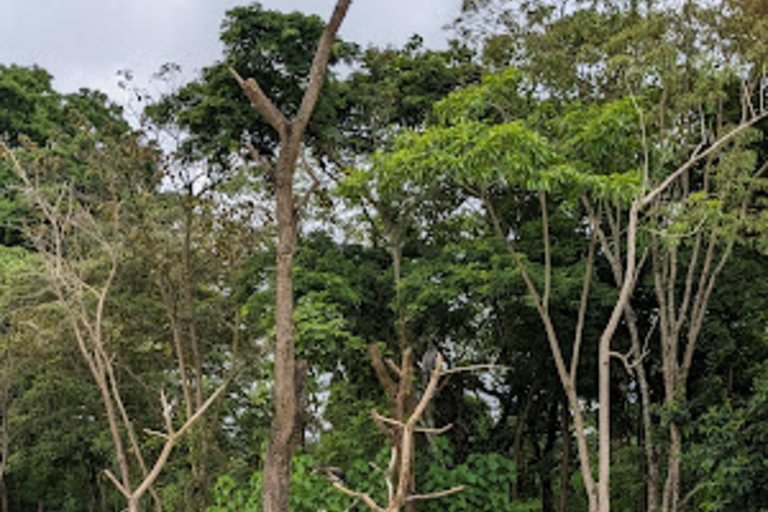 Arusha: Paseo guiado por la naturaleza, piragüismo y picnic en el lago Duluti