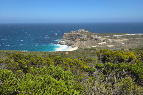 Cape Town: Ultimate Cape Peninsula Private Tour with Lunch