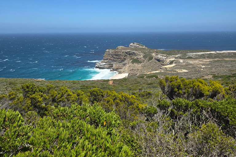 Cape Town: Ultimate Cape Peninsula Private Tour with Lunch