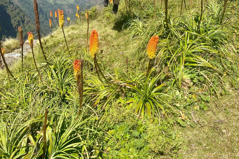 10-Day Simien Mountains Trek: Summit Stunning Ras Dejen