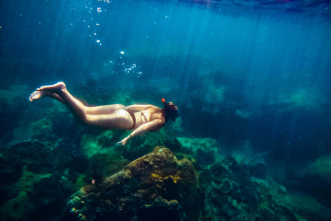 Ko Tao: Late Riser Snorkeling Tour with Lunch and Photos