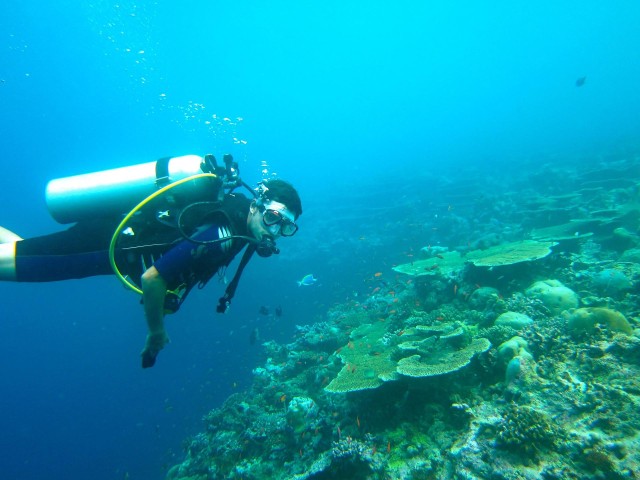 Santa Marta: Live a diving experience in Tayrona