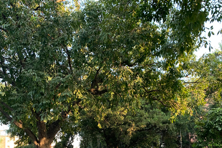 CIRCUIT CYCLISTE DE NEW DELHI AVEC PETIT DÉJEUNER