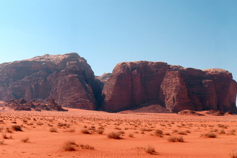 Amman: Petra & Wadi Rum overnight at Camp