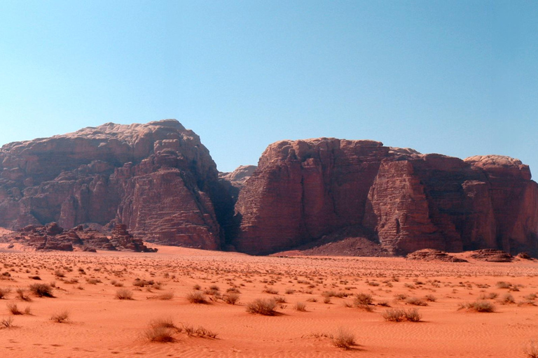 Amman: Petra & Wadi Rum overnight at Camp