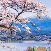 Tokyo To Mt.Fuji Day Trip With 6 Must-visit Scenic Spots - 2026