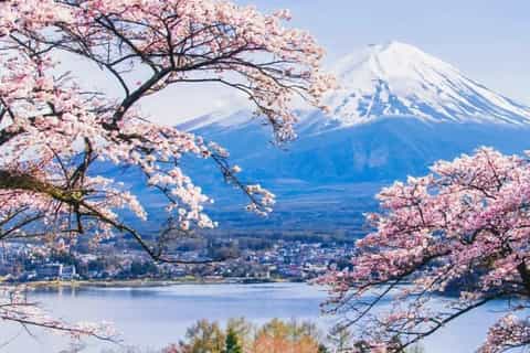 The best Mount Fuji Spring activities - 2026 (Verified Reviews)
