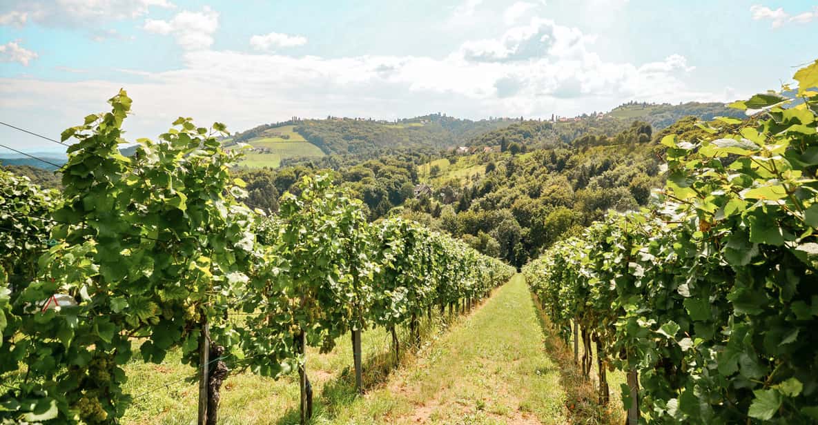 Valle del Douro: vino, pranzo e crociera da Porto