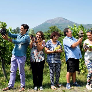 From Naples: Pompeii and Wine Tasting Tour
